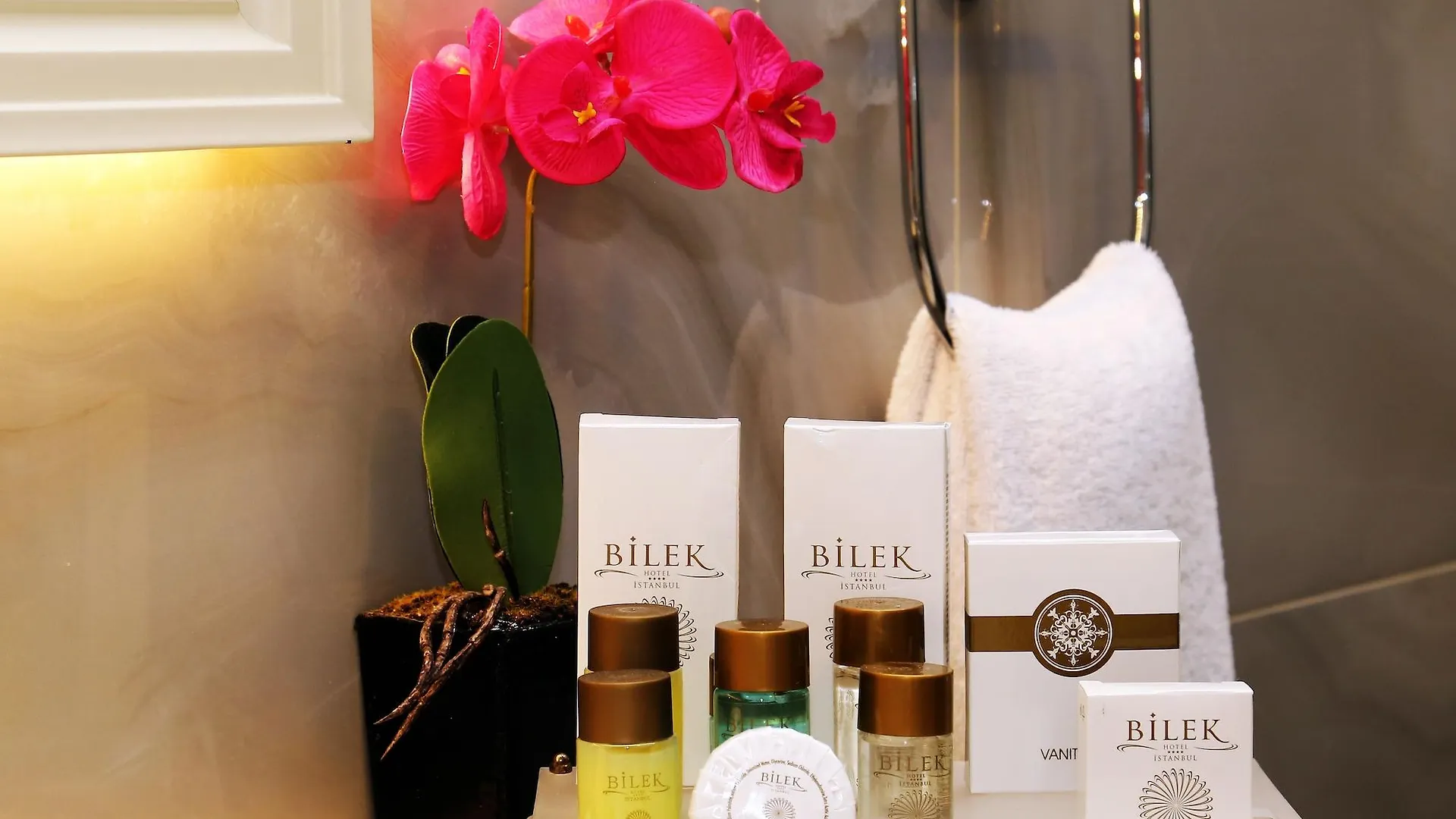 Bilek Istanbul Hotel 4*,  Turcja